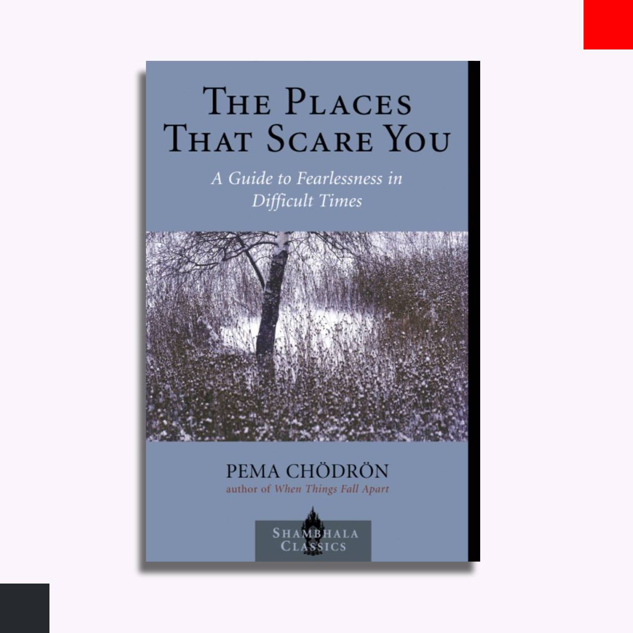 The Places That Scare You – A Guide to Fearlessness in Difficult Times Available on Khujo | Published & Printed by SelectorsBD